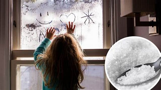 This 29P Hack to Clear Window Condensation Is Genius