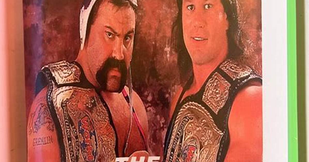 Tna Notes: Steiner Brothers, Ms. Brooks, More News