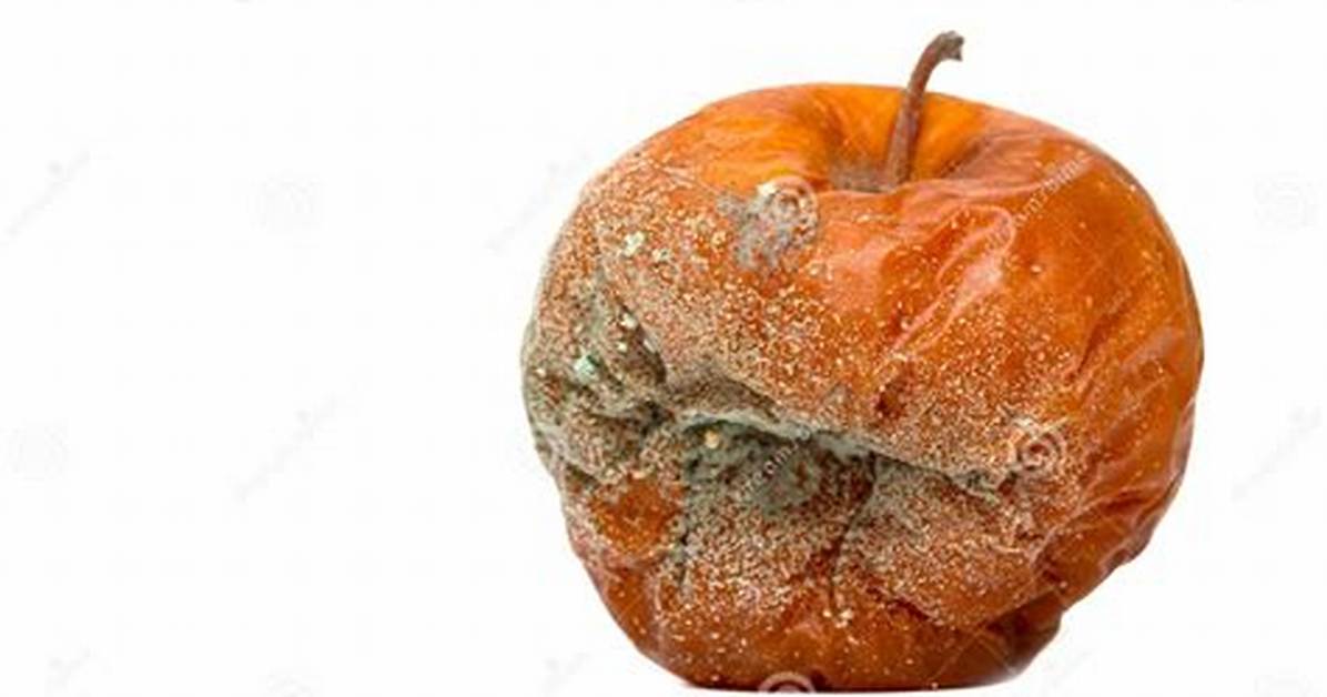 Une Pomme Pourrie Ou Pourrite?