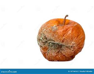 Une Pomme Pourrie Ou Pourrite?