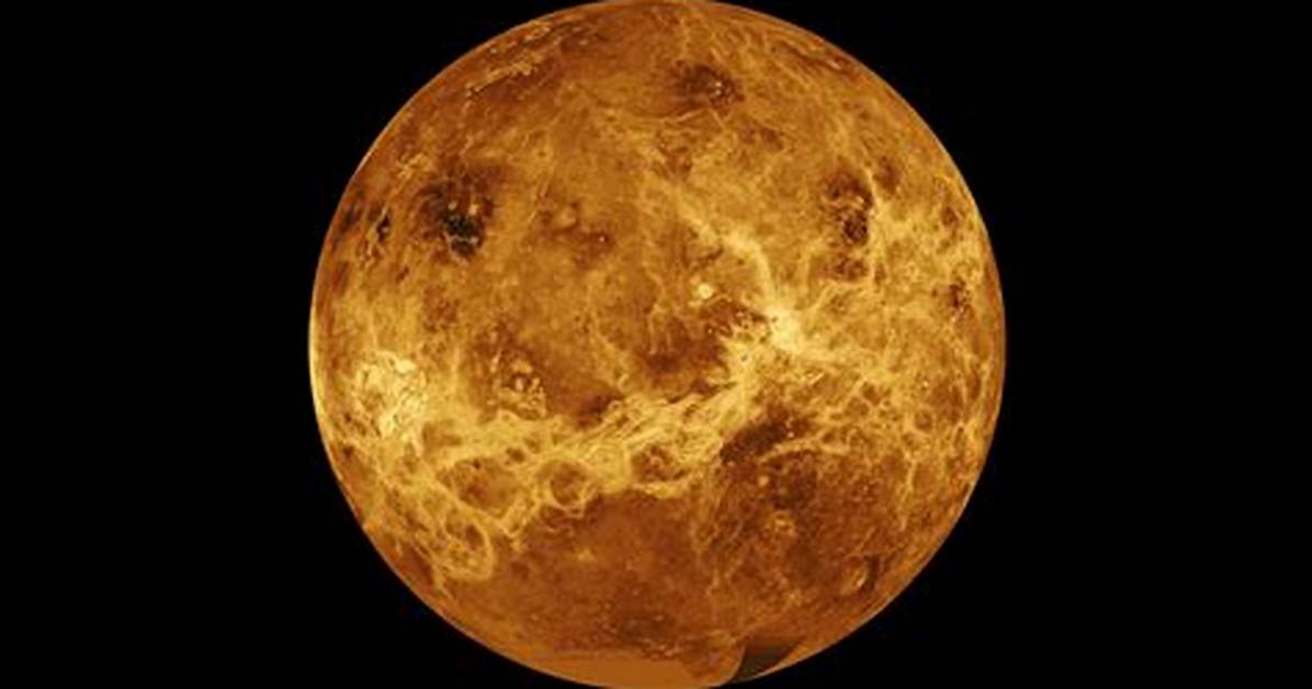 Venus Might Host Life, New Discovery Suggests