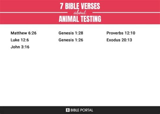What Are Some Bible Verses About Testing?