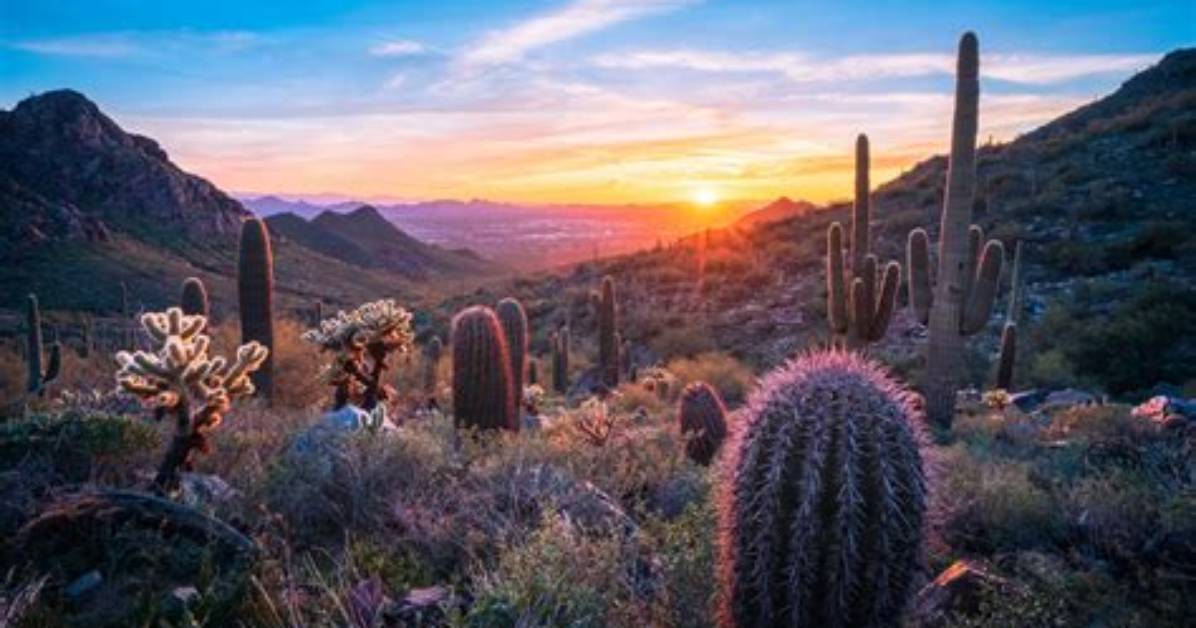 What Coast Is Arizona Considered?