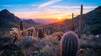 What Coast Is Arizona Considered?