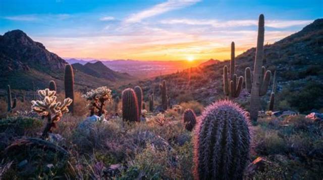 What Coast Is Arizona Considered?