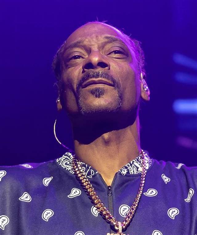 What Does Snoop Dogg Mean by Endo?