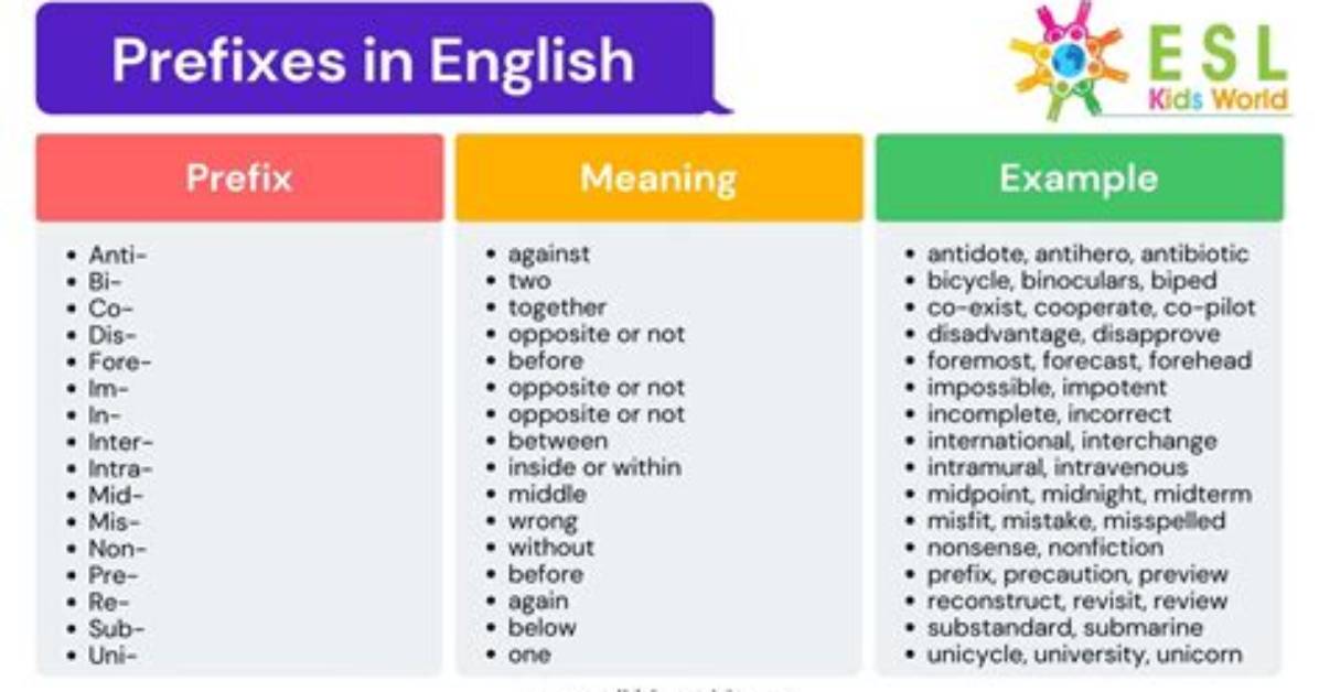 What Does the Prefix Diplo Mean in Medical Terms?