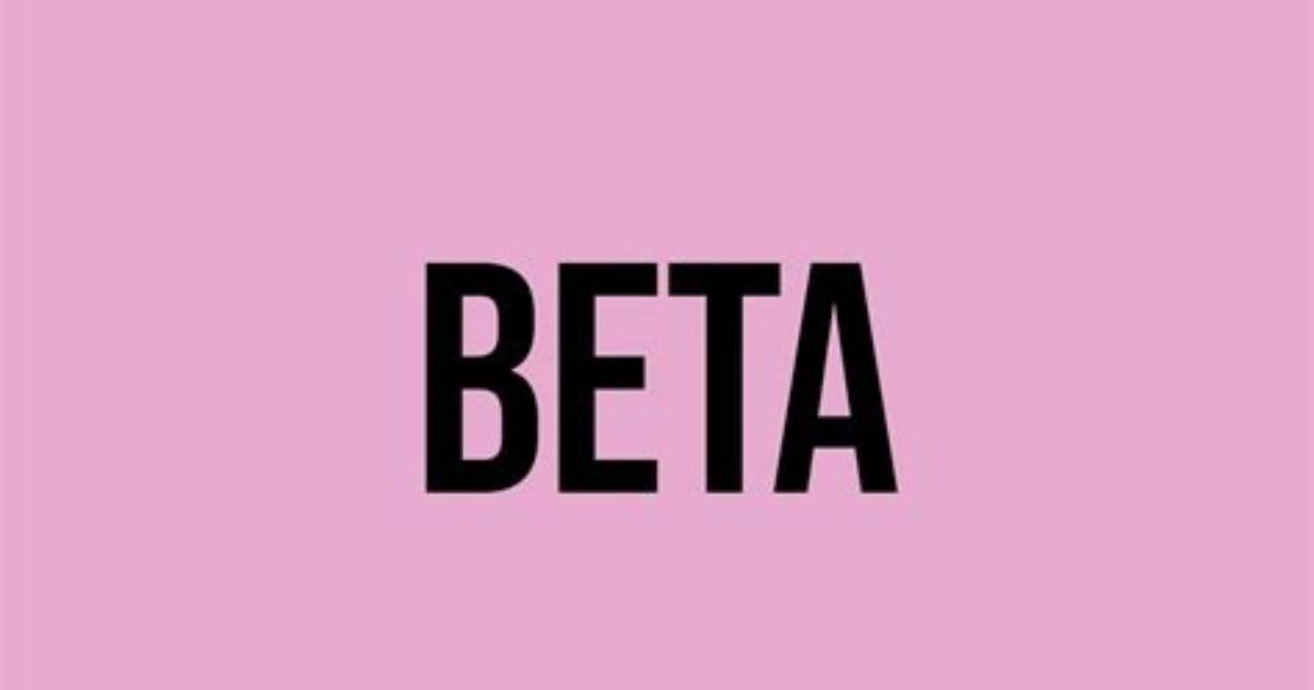 What Is Open Beta Mean?
