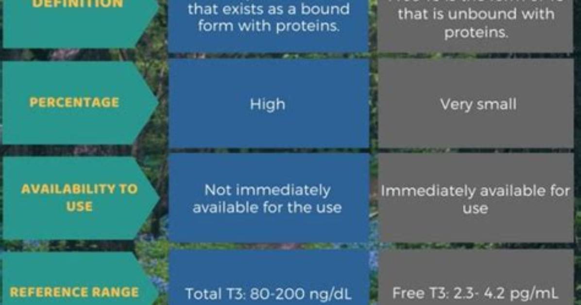 What Is the Difference Between a T3 and a T4 Light Bulb?