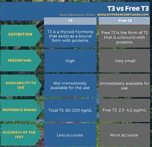 What Is the Difference Between a T3 and a T4 Light Bulb?