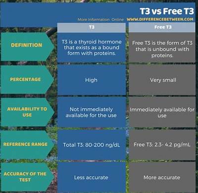 What Is the Difference Between a T3 and a T4 Light Bulb?