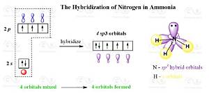 What Is the Hybridization of N in N2H2?