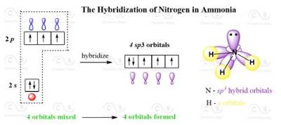 What Is the Hybridization of N in N2H2?