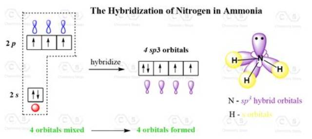 What Is the Hybridization of N in N2H2?