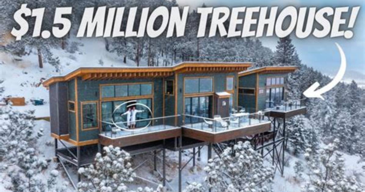 What Is the Most Expensive Treehouse Built by Treehouse Masters?
