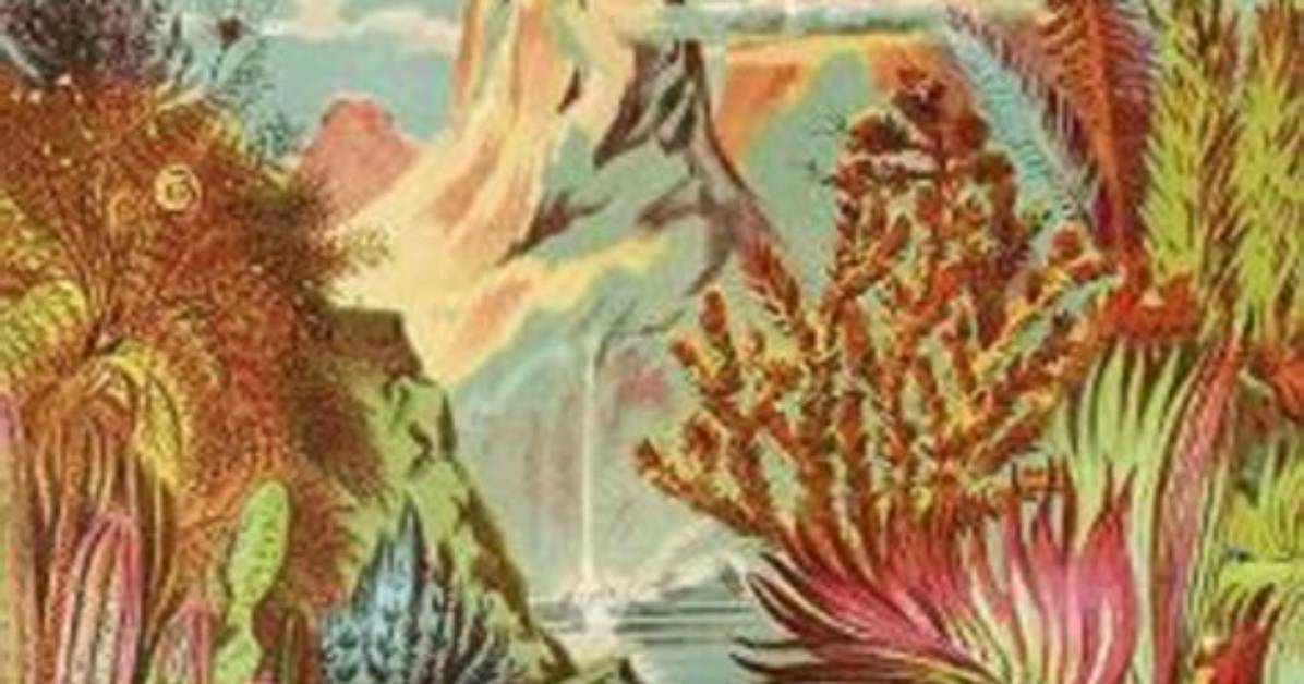 When I Sing, Mountains Dance by Irene Solà Review – the Mushroom’s Tale