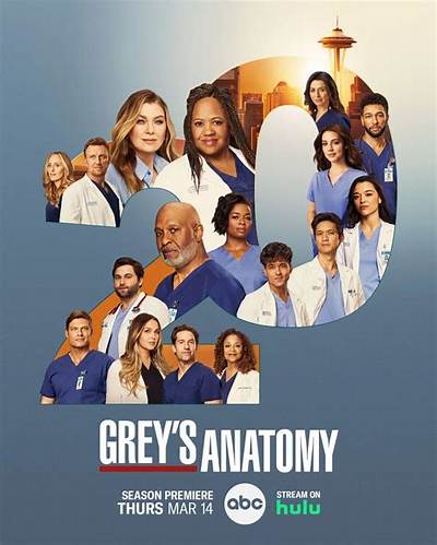 When Will Grey's Anatomy Season 20 Premiere on Netflix?