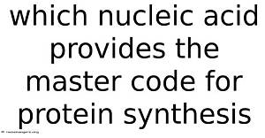 Which Nucleic Acid Provides the Master Code for Proteins Synthesis?