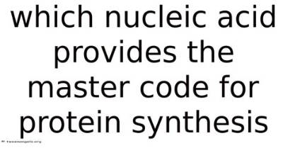 Which Nucleic Acid Provides the Master Code for Proteins Synthesis?