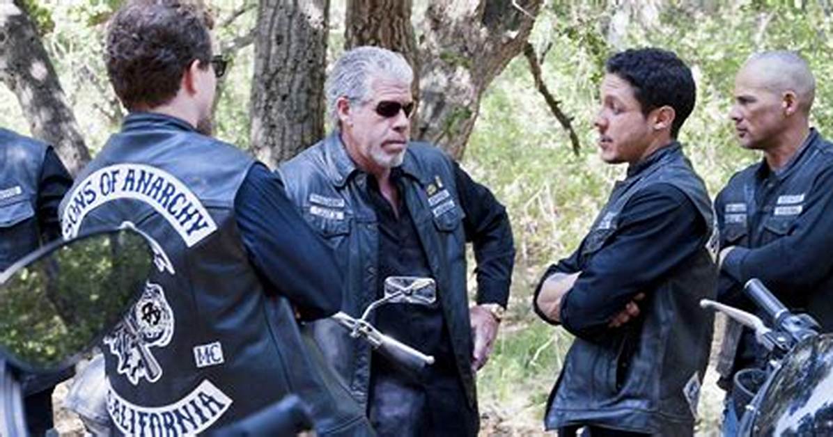 Which 'Sons of Anarchy' Star Made 1 of the Most Shocking Cameos on 'Entourage' of All Time?