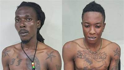 Who Are 400 Mawozo? Wikipedia -Everything on Haiti Kidnapping Gang and Video on Reddit