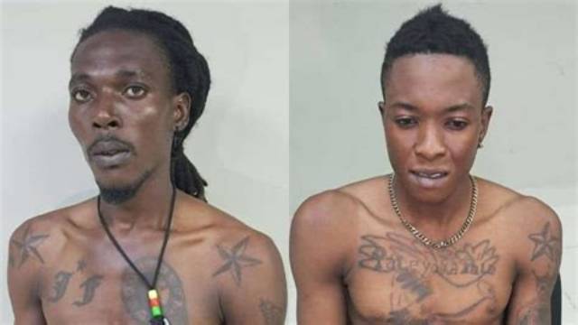 Who Are 400 Mawozo? Wikipedia -Everything on Haiti Kidnapping Gang and Video on Reddit