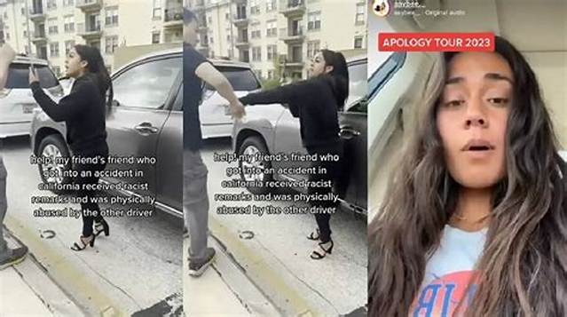 Who Is Ashley Barkis? Is She Racist?