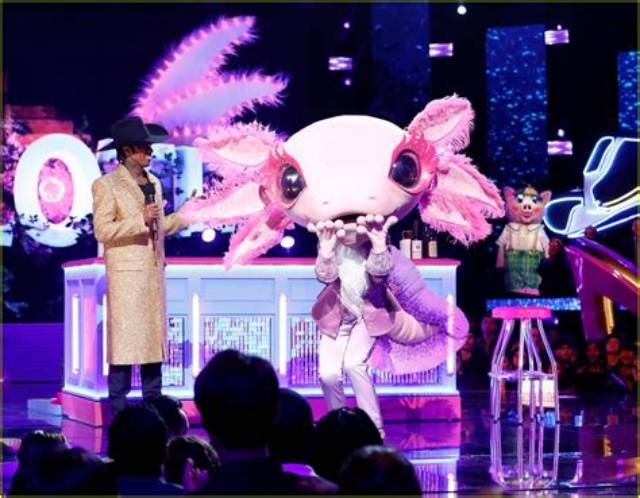 Who Is Axlelotl on ‘The Masked Singer’ Season 9? Clues, Guesses, & Spoilers Revealed! | Masked Singer, the Masked Singer | Just Jared: Celebrity News and Gossip