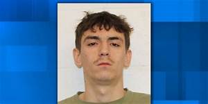 Who Is Kaleb Herd? Quincy Man Arrested from Chris Rock Boston Show for Charges of Heckling & Assault on Police