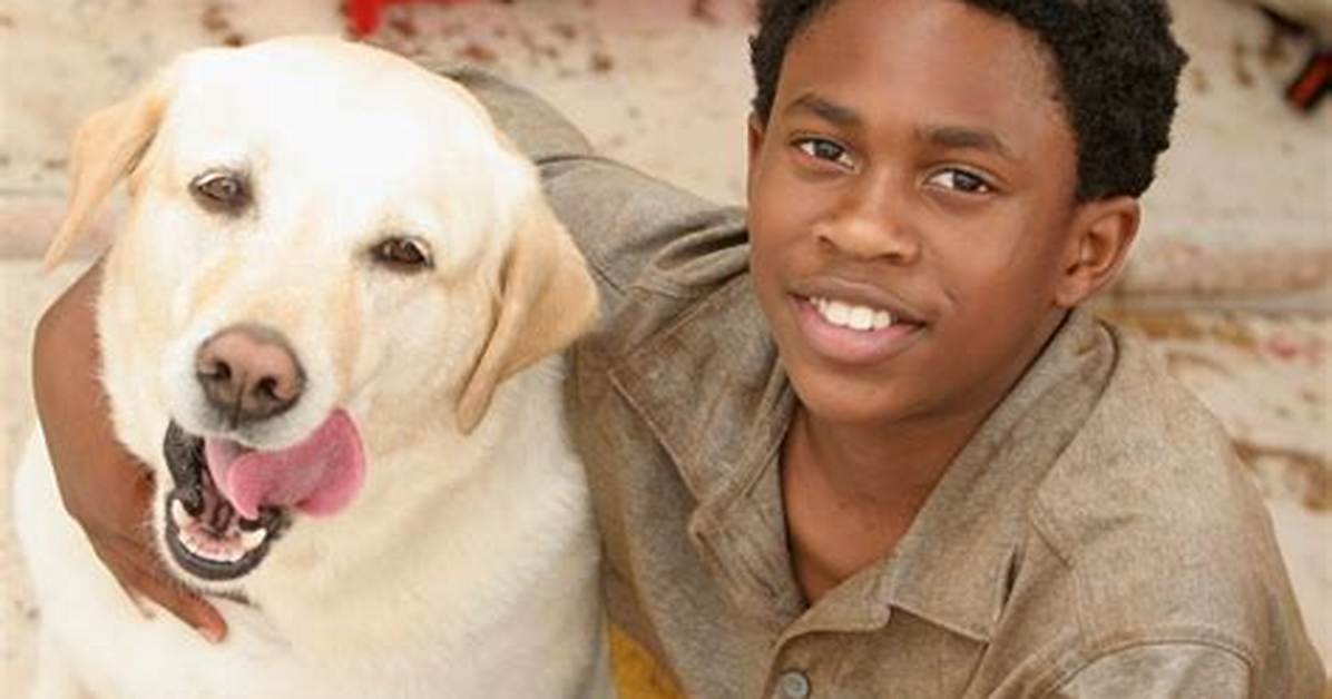 Why 'Lost' Demoted Walt Actor Malcolm David Kelley