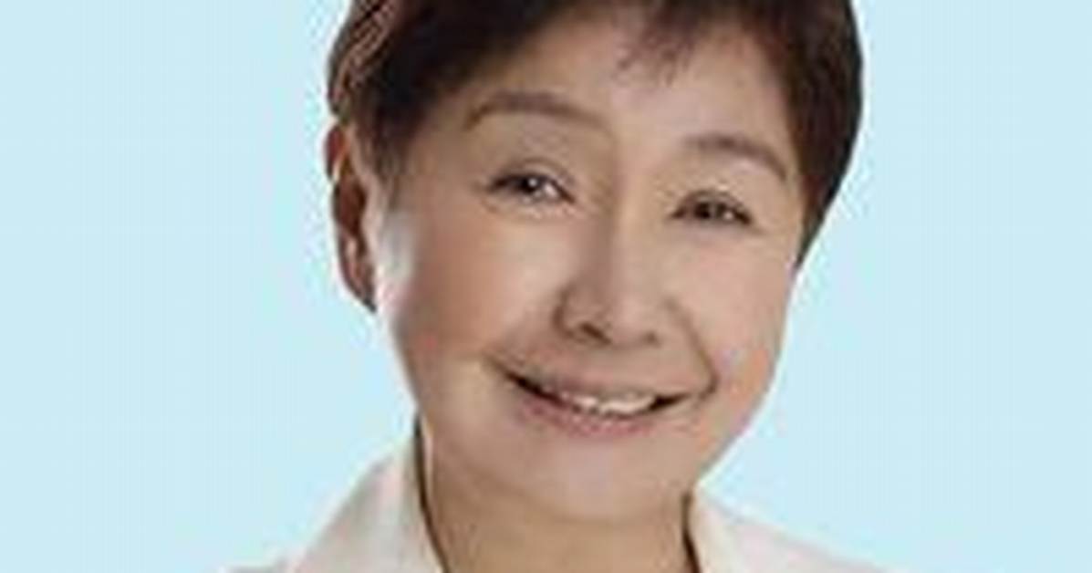 Why Was Zenaida Angping Husband Harry Angping Arrested? Family and Net Worth