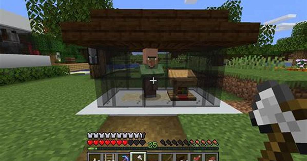 Why Won’t My Villager Accept a Job?