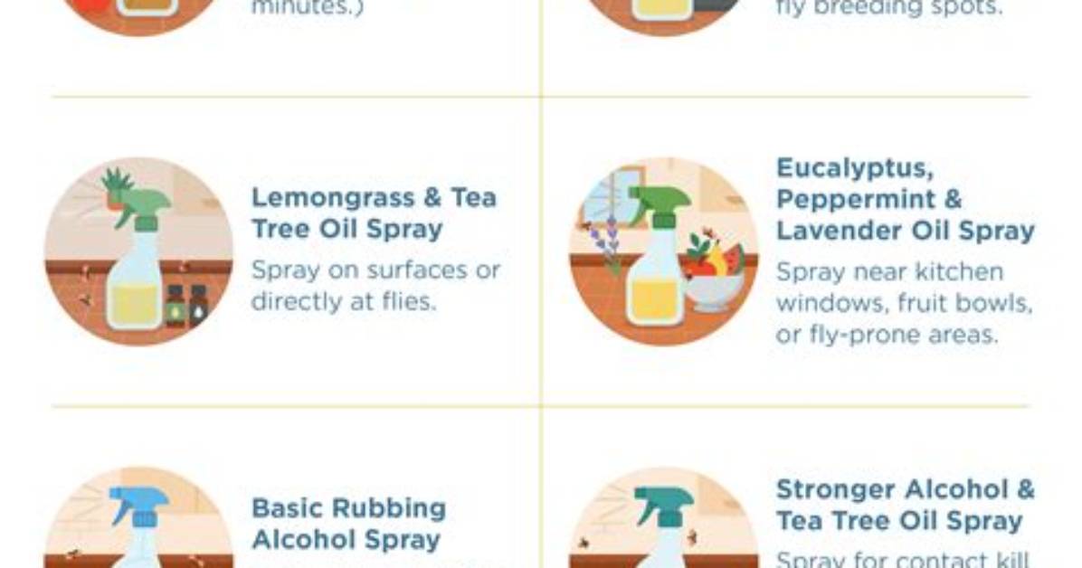 Will Bleach Kill Fruit Flies in the Drain?